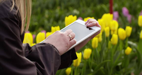 农民在花卉种植园使用平板电脑