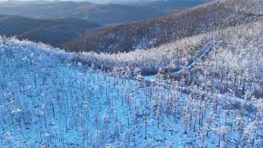 航拍大兴安岭林海雪原风光