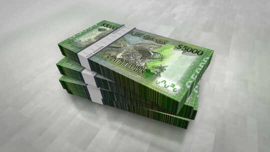圭亚那美元钞票堆包