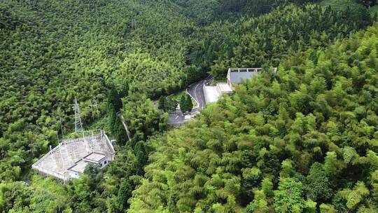 安福武功山林场