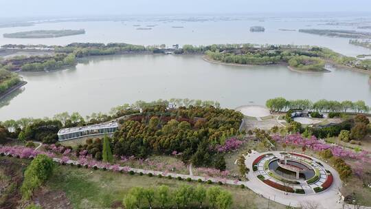 清新生态环境大纵湖景