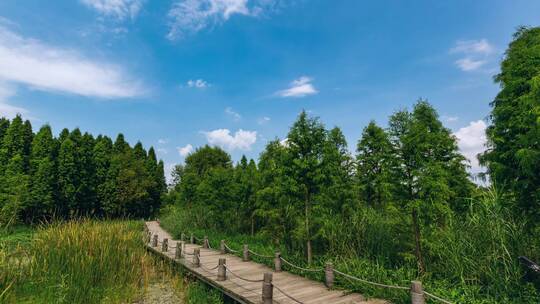 东大河湿地公园风光延时