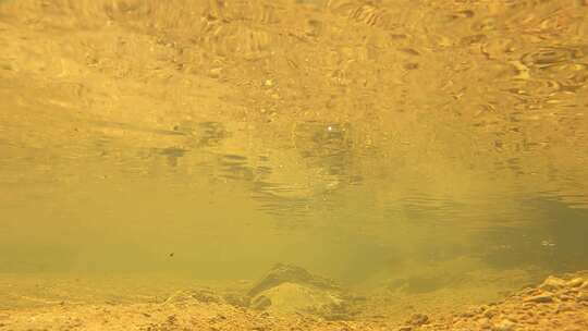 水下拍摄 河流 溪流 溪水