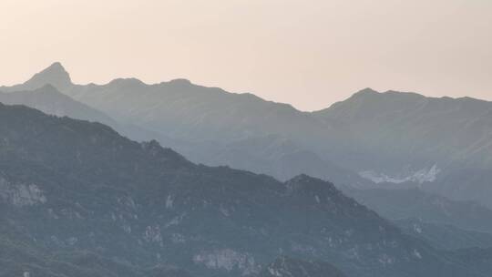 高山草原牛羊牧业森林氧吧大自然风光