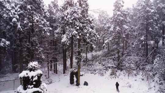 大雪森林中的航拍者自拍景象