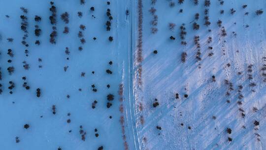 森林草原过渡带雪原道路树木