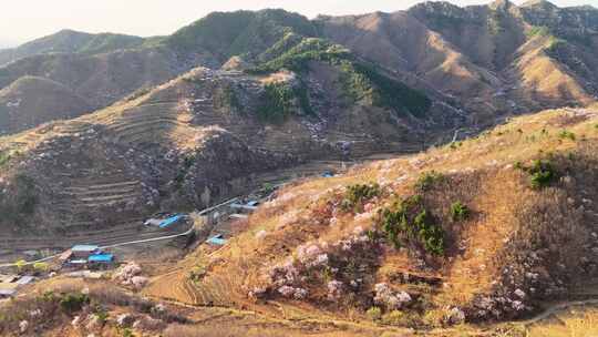 辽宁山村的春天航拍素材