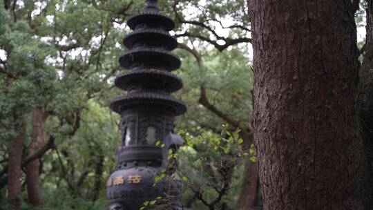 浙江普陀山法雨寺禅院建筑4K视频