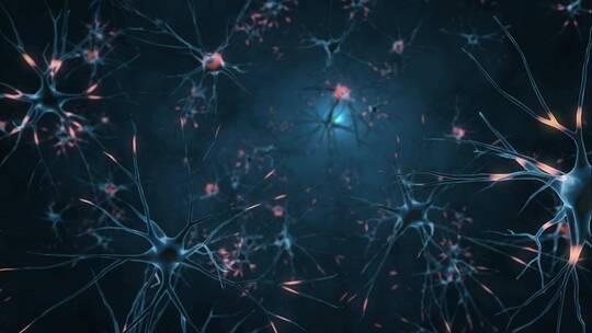 人体神经元结构模拟