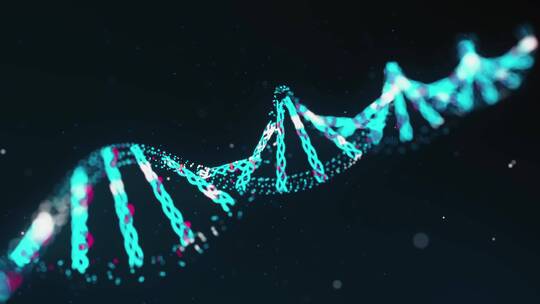 DNA序列动画演示