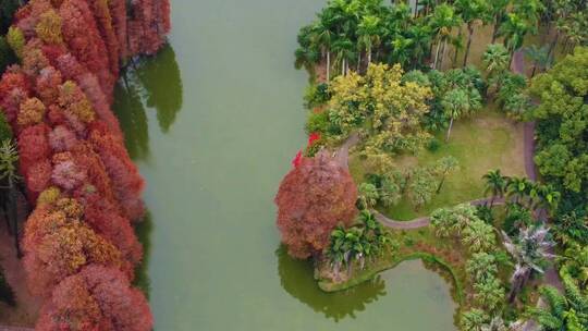 广州市湿地公园自然保护湿地日航拍