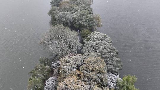 航拍西湖大雪视频素材模板下载