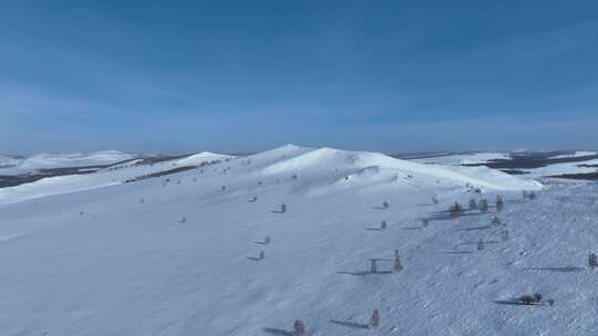 航拍呼伦贝尔大雪原白雪皑皑视频素材模板下载