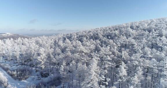 零下40度的低温航拍大兴安岭冰雪雾凇