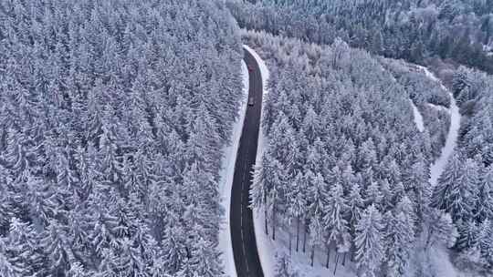 航拍冬天雪松公路冬季森林公路汽车行驶
