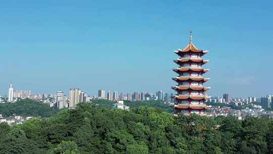 益阳 福源寺 航拍 塔 益阳风景