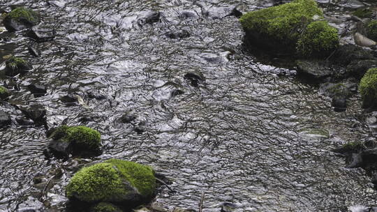 杭州西湖 灵隐寺 园林 森林 山水 庭院 安缦