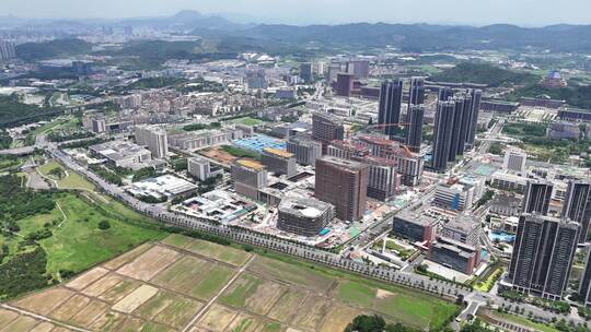 中山大学附属第七医院