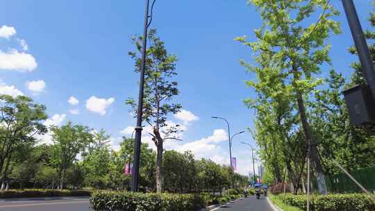 马路风景特写