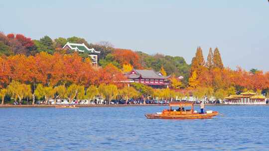 杭州西湖孤山路秋天风景