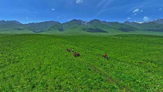 新疆伊犁那拉提草原HDR航拍