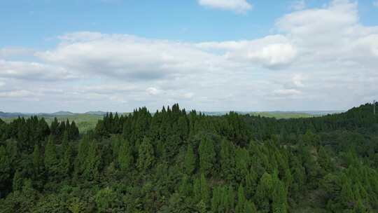 中国西南丘陵地区乡村土地山丘树林