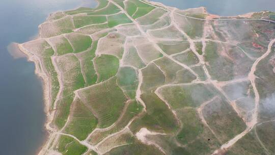 黄河生态河边田野湿地航拍湖水边田地俯拍