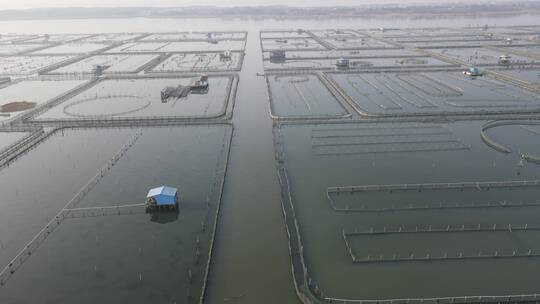 苏州阳澄湖大闸蟹基地4K航拍原素材