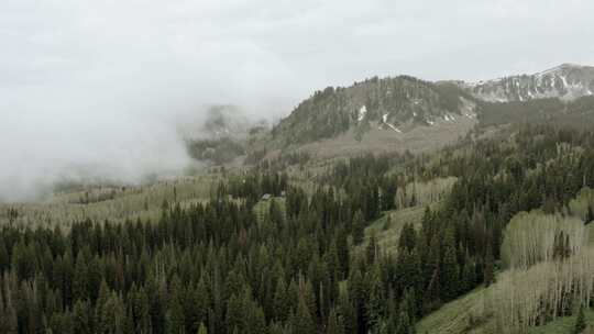 美国，卫士山口，犹他州，帕克城