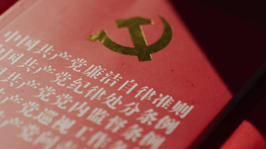 廉洁自律问责条例