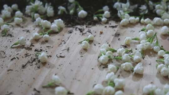 升格慢动作微距特写茉莉花与茉莉花茶制作