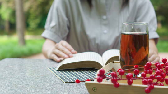 中国女性女人户外公园喝茶读书学习办公