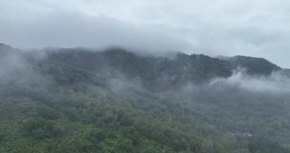 绿山云雾缭绕云海大山