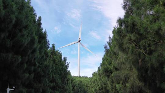 风车树林蓝天白云小清新天空夏天风景视频素材模板下载