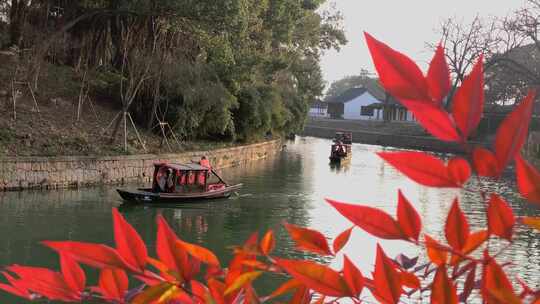 苏州虎丘山风景名胜区春节