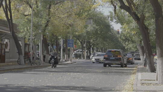 胡同秋天 北京人文生活