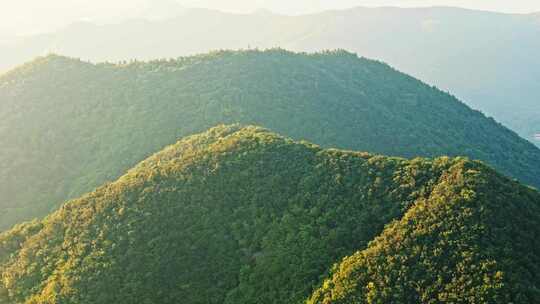 大山绿色树林森林雨林航拍