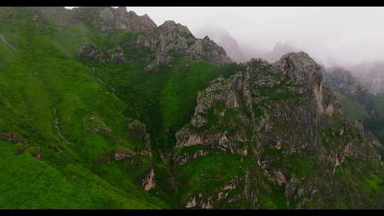 山川云雾 高山 森林植被