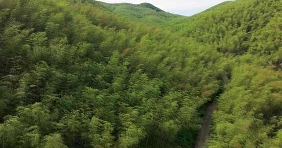 杭州余杭黄湖王位山春天航拍