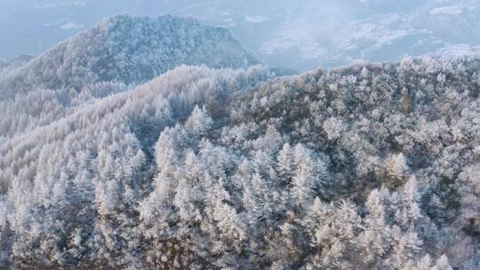 4k航拍恩施雪山雾凇风光