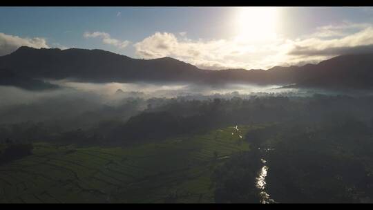 航拍黎明时分的农田风景