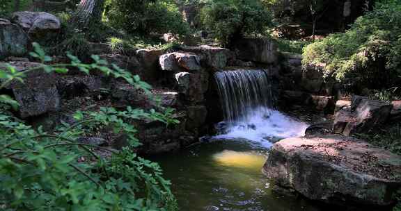 山林森林阳光溪水 流水宁静氛围特写