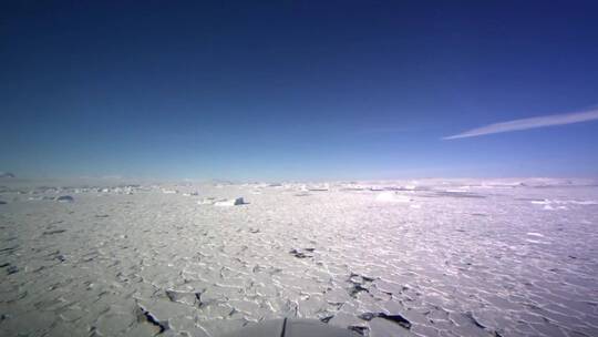 冰冻的北极苔原