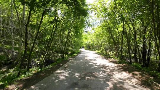 开车视角 白天 行驶在公路上