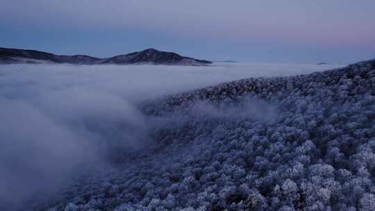 雪景冬季航拍雾凇，大兴安岭