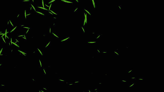 竹叶粒子飞舞动画视频素材模板下载