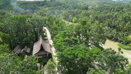 无人机飞向天空，展示了绿树旁越南房子的弯曲屋顶和