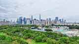 4K美丽深圳、深圳中心公园航拍高清在线视频素材下载