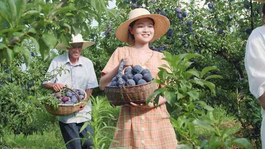 农民丰收 农业素材 扶贫助农