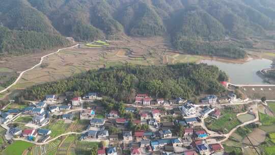 美丽乡村农业种植油菜花农田航拍